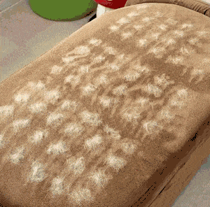 HairZap™ | Gants anti-poils pour animaux