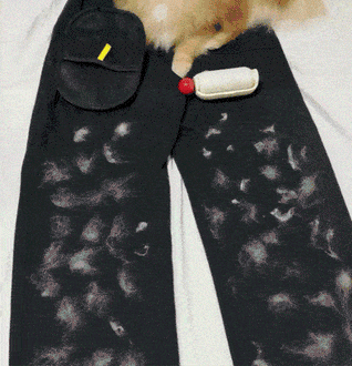 HairZap™ | Gants anti-poils pour animaux