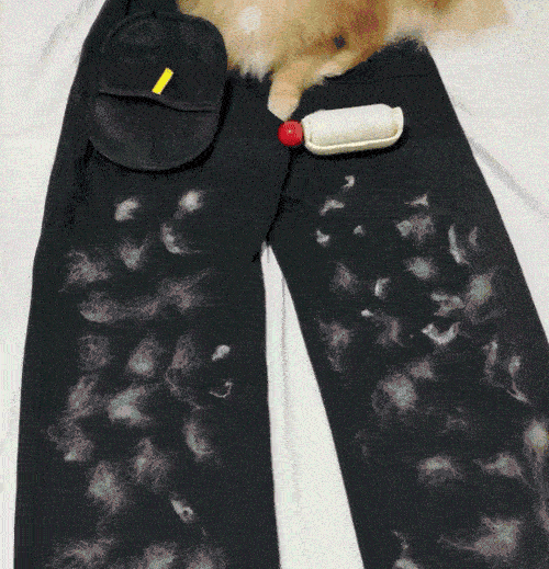 HairZap™ | Gants anti-poils pour animaux