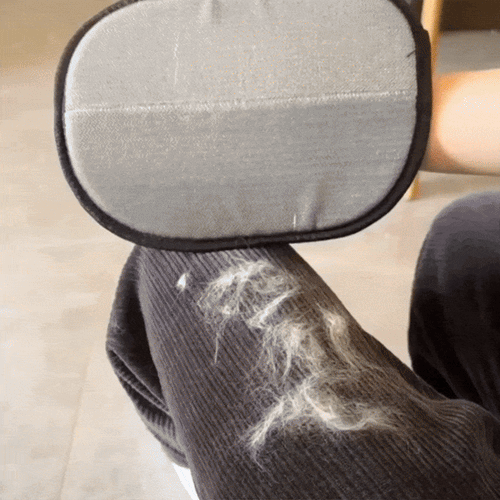 HairZap™ | Gants anti-poils pour animaux